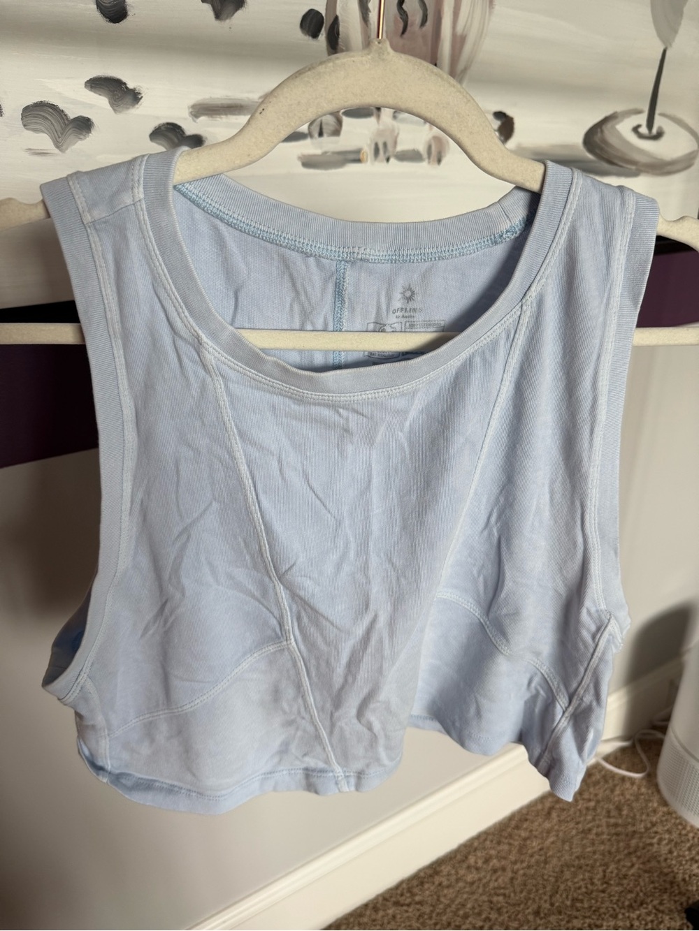 aerie Light Blue Cropped Ribbed Tank Camisole